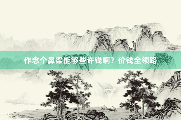 作念个鼻梁能够些许钱啊？价钱全领路